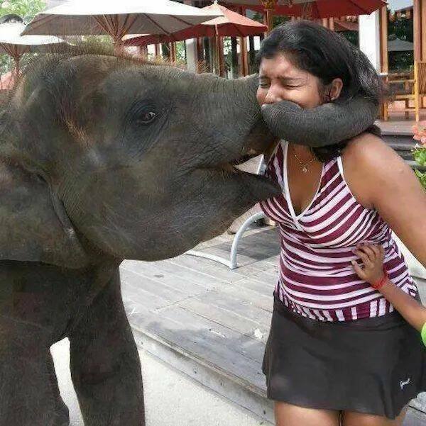 Funny Animals (22 pics)