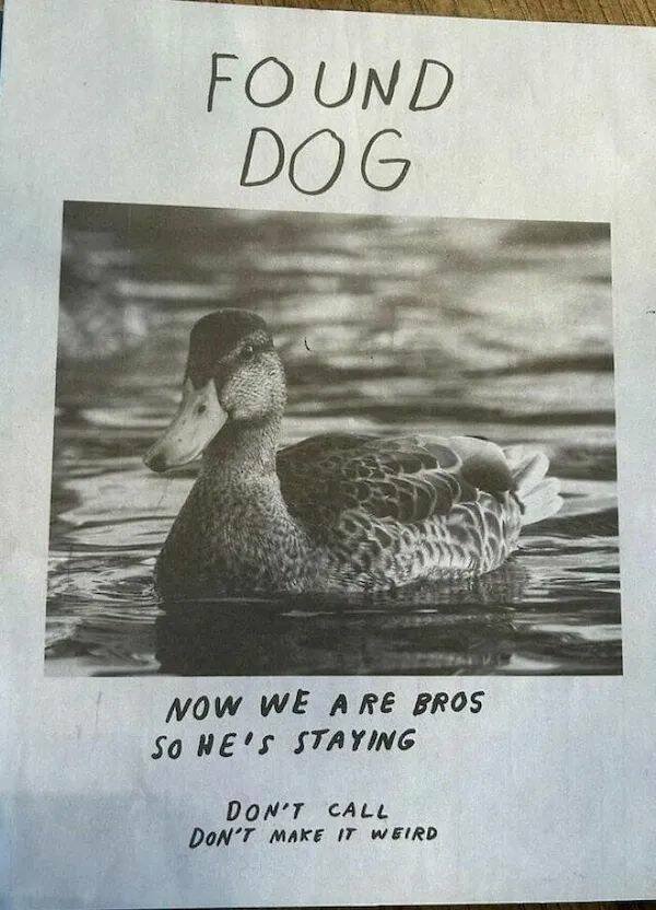 Funny Animals (22 pics)