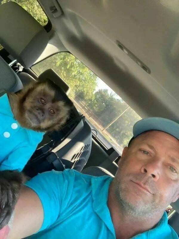 Funny Animals (22 pics)