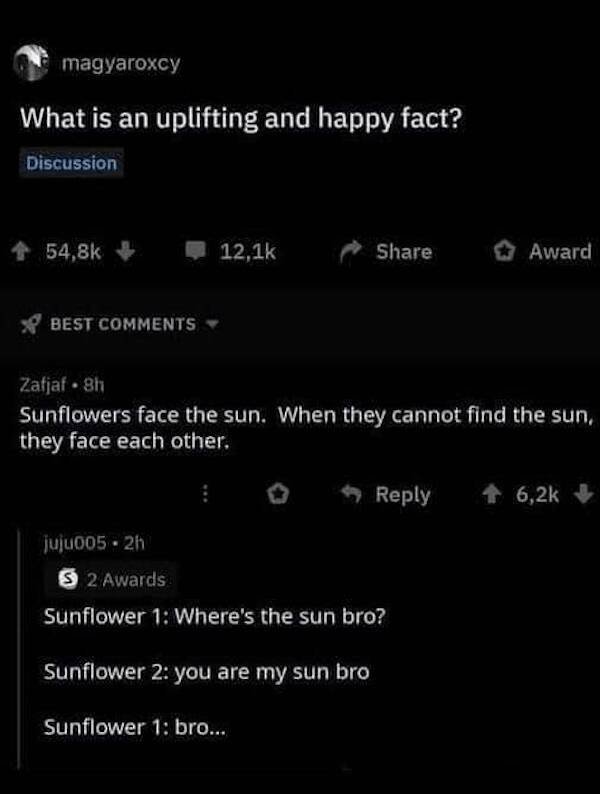 Science Memes (27 pics)