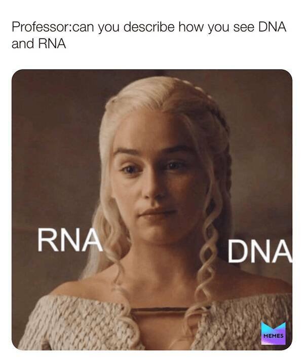 Science Memes (27 pics)