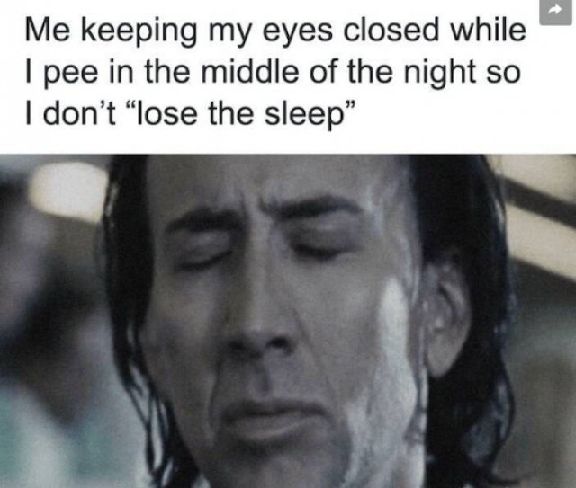 Truthful Memes (19 pics)
