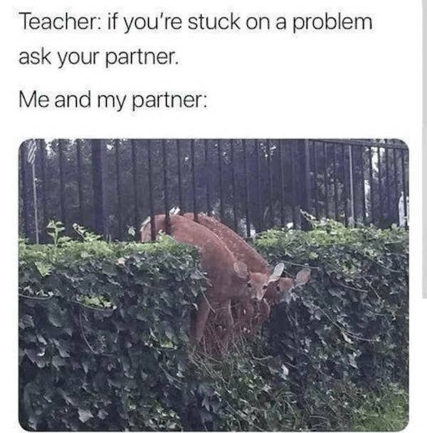 Science Memes (27 pics)