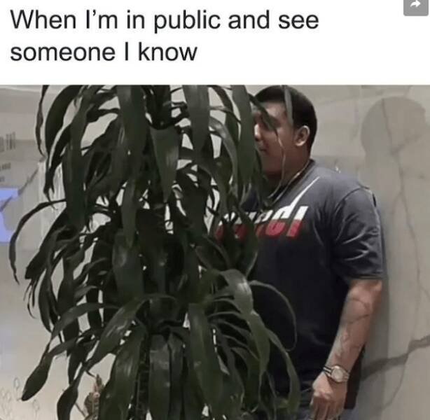 Truthful Memes (19 pics)