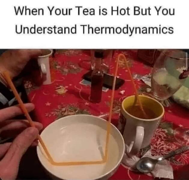 Science Memes (27 pics)