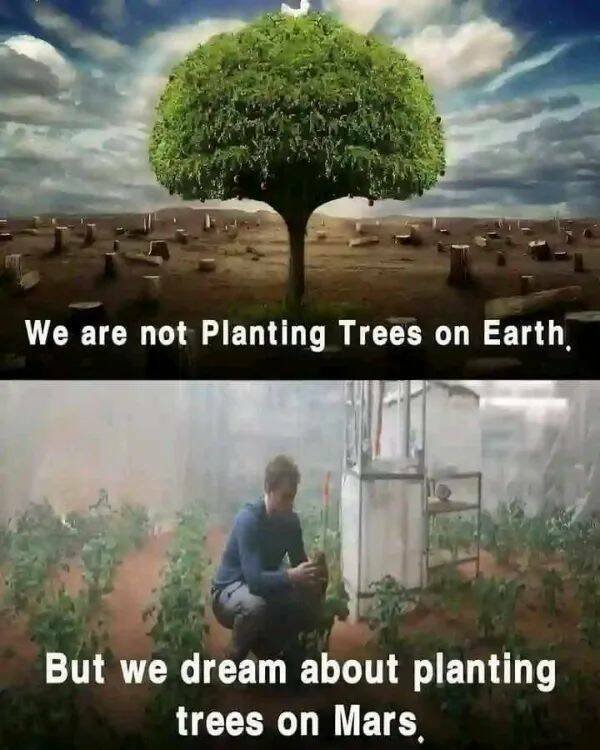Deep Thoughts (24 pics)
