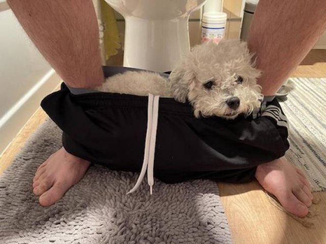 Cute And Funny Animals (47 pics)