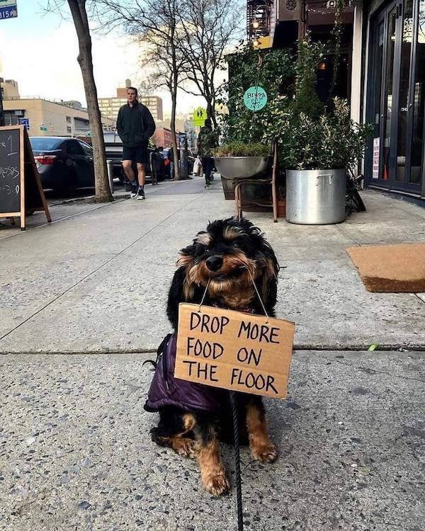 Cute And Funny Animals (47 pics)