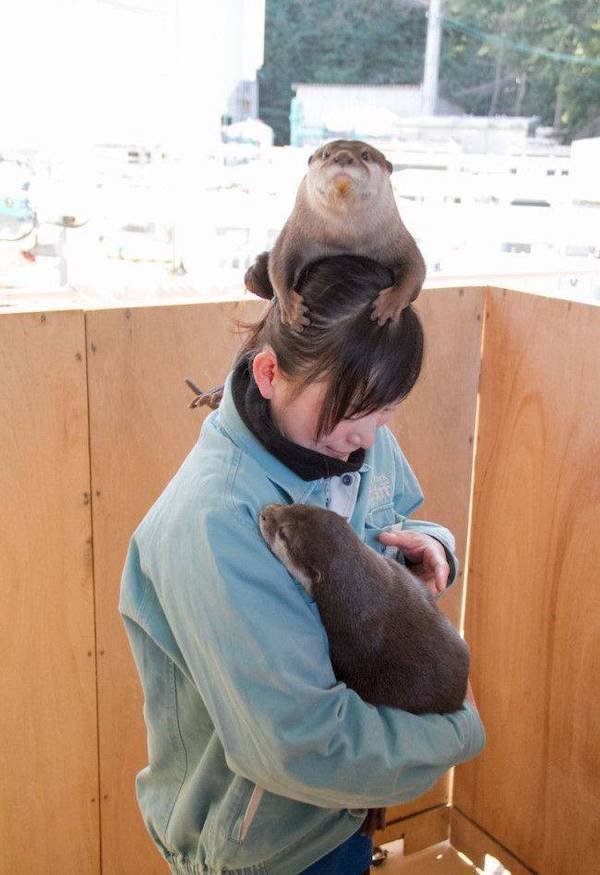 Cute And Funny Animals (47 pics)