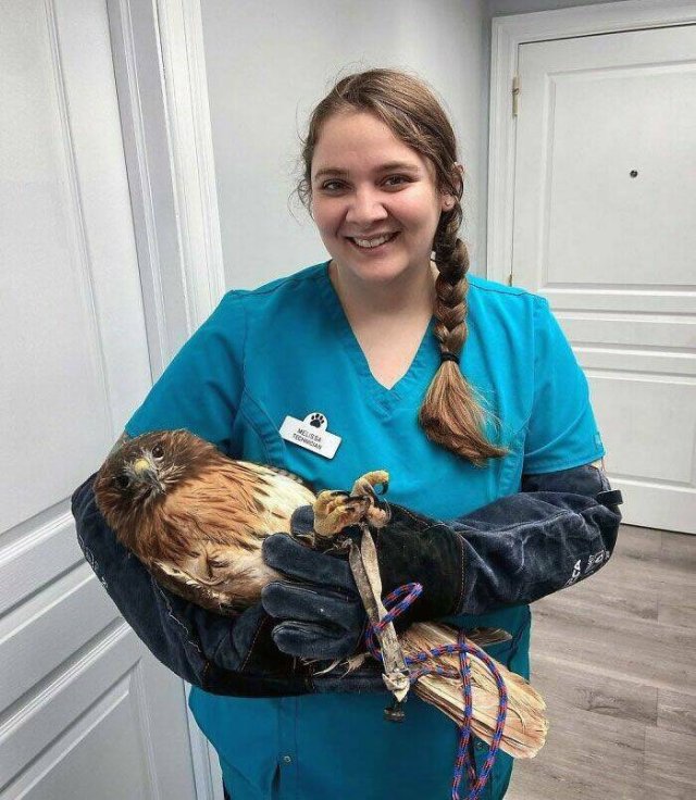 Memorable Stories And Photos Of Veterinarians (20 pics)