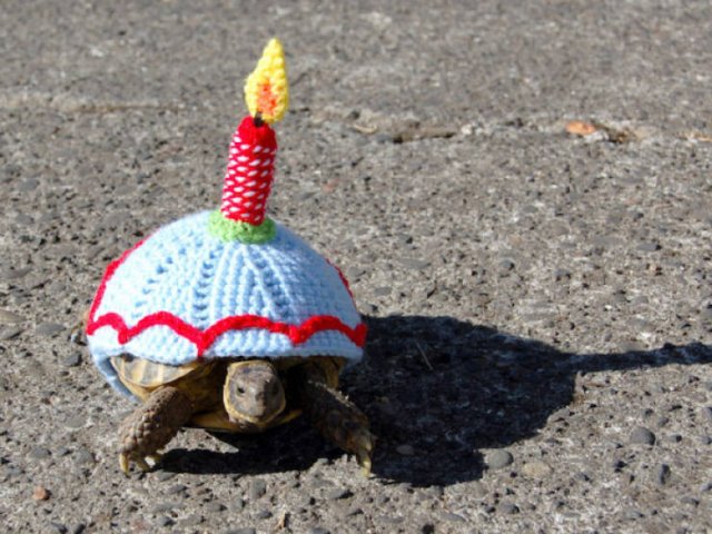 Cute And Funny Animals (47 pics)