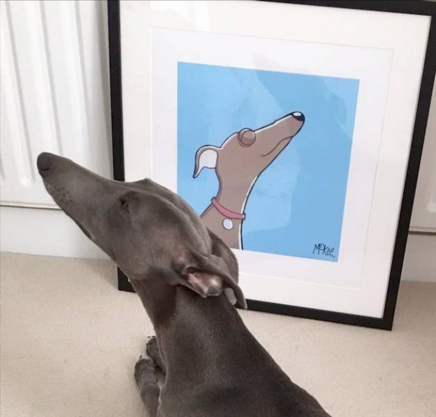 Cute And Funny Animals (47 pics)