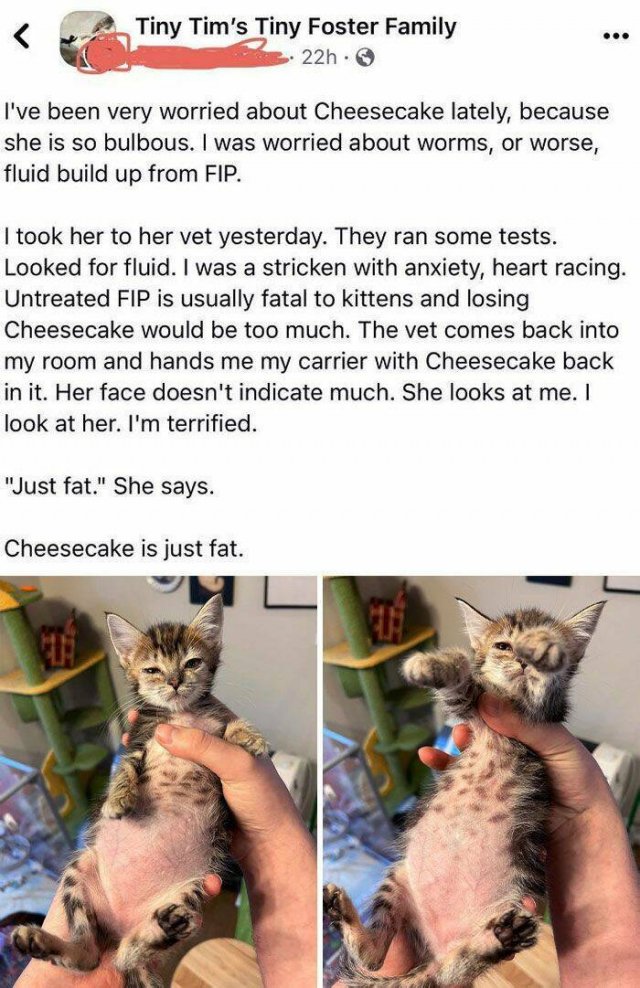 Memorable Stories And Photos Of Veterinarians (20 pics)