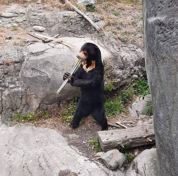 Cute And Funny Animals (47 pics)