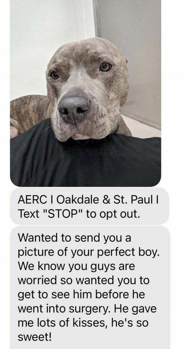 Memorable Stories And Photos Of Veterinarians (20 pics)