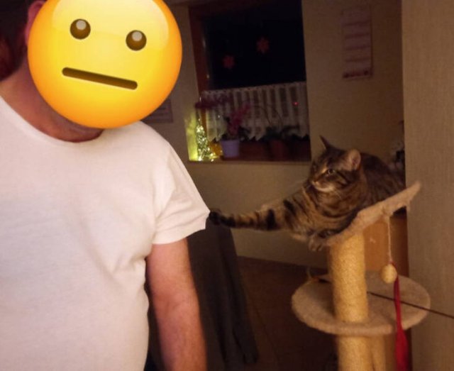 They Don't Care About Rules (19 pics)
