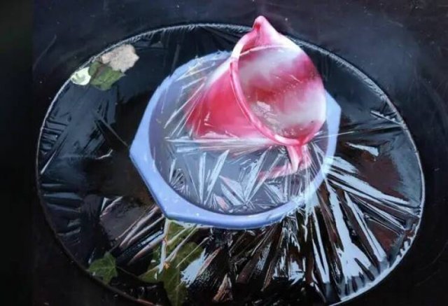 Optical Illusions (20 pics)
