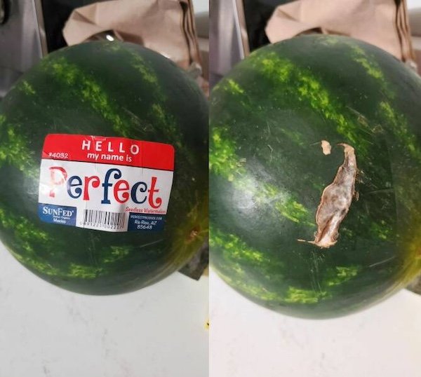 Annoying Finds And Situations (29 pics)