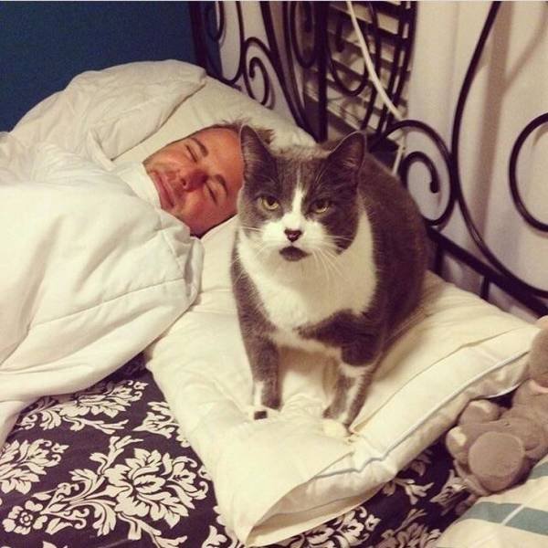 They Don't Care About Rules (20 pics)