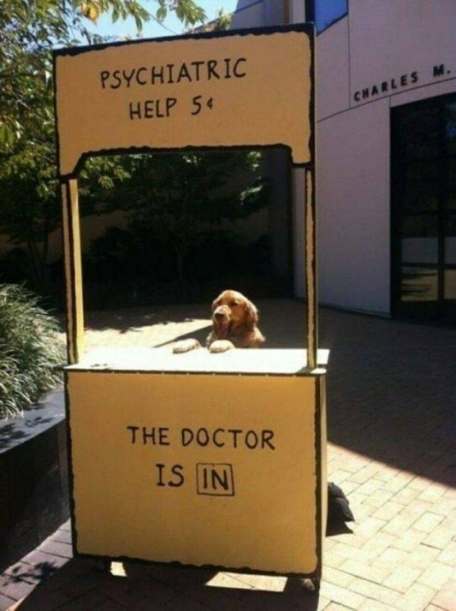 Funny Animals (55 pics)
