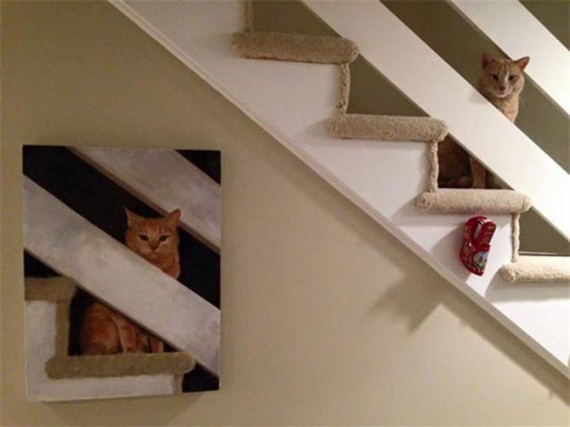 Funny Animals (55 pics)