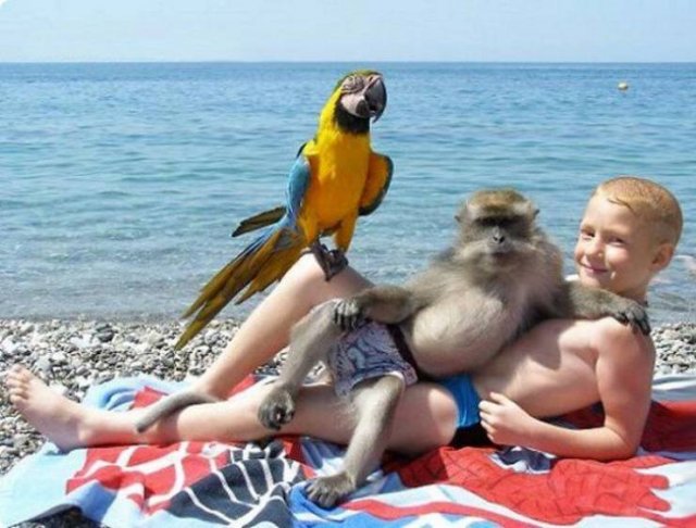 Funny Animals (55 pics)