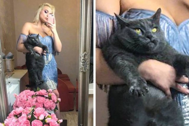 Funny Animals (55 pics)