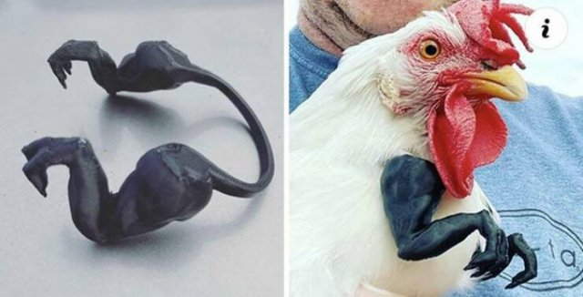 Weird Finds (22 pics)