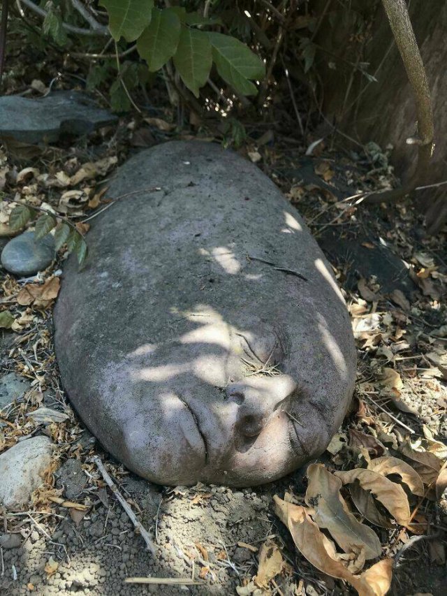 Weird Finds (22 pics)