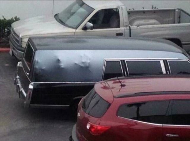 Weird Finds (22 pics)