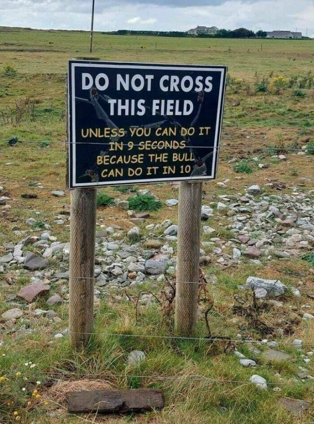 Funny Signs (27 pics)