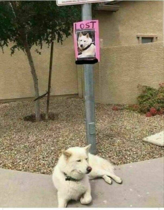 Funny Signs (27 pics)