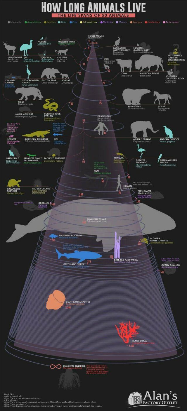 Interesting Data (19 pics)