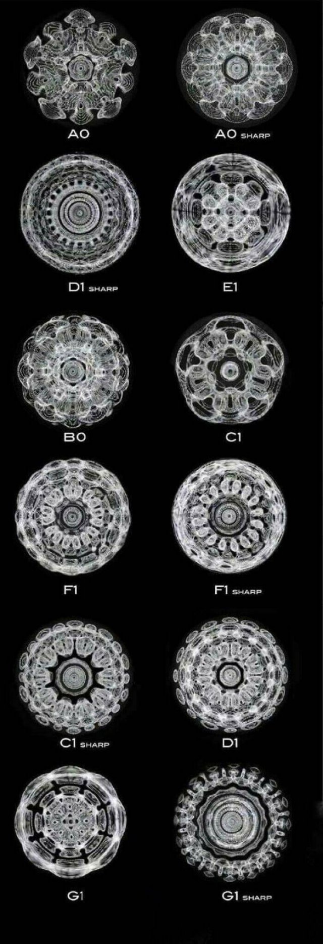 Interesting Data (19 pics)
