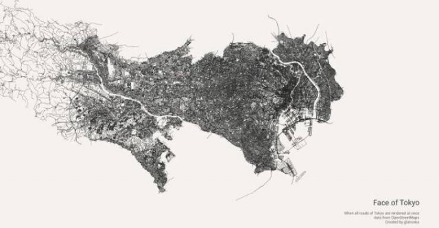 Interesting Data (19 pics)