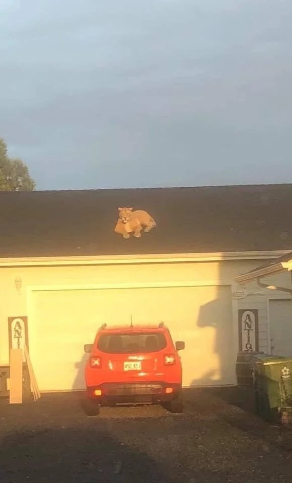 Bad Days Happen (35 pics)