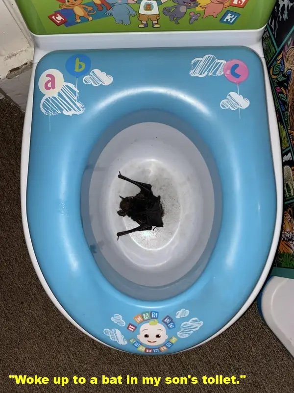 Bad Days Happen (35 pics)