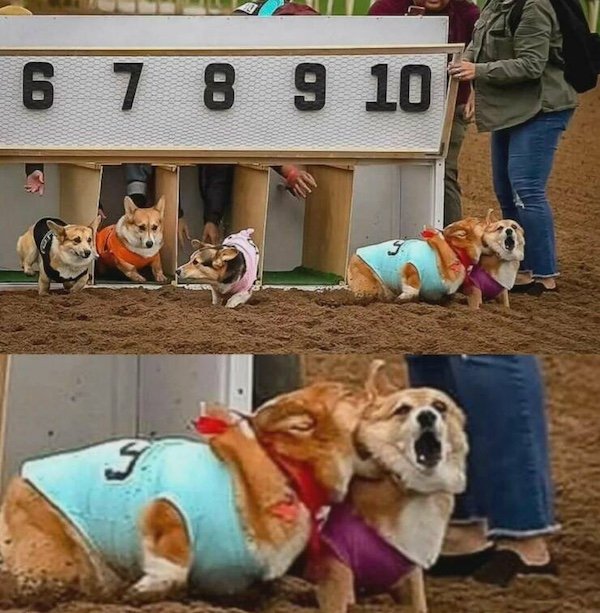 Bad Days Happen (35 pics)