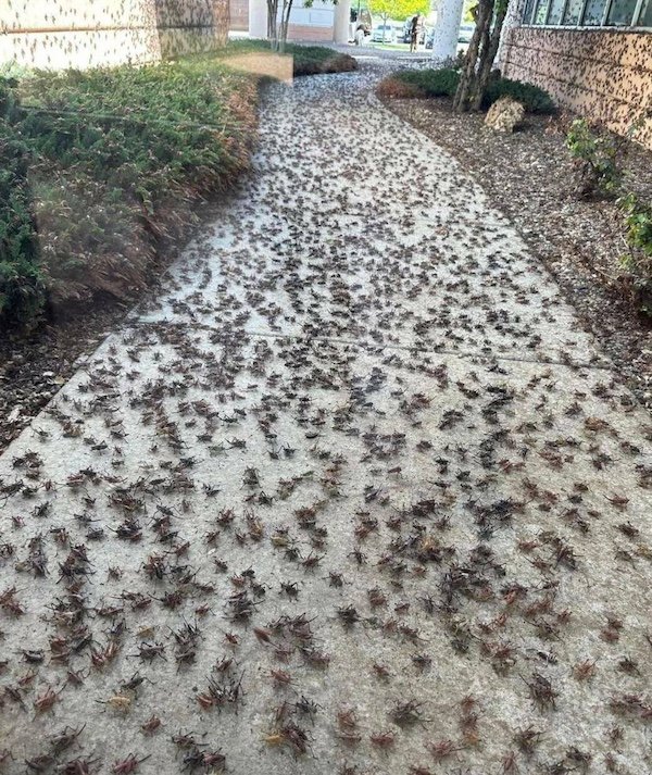 Bad Days Happen (35 pics)