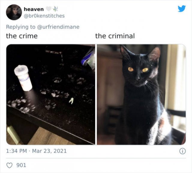 The Crime And The Criminal (17 pics)