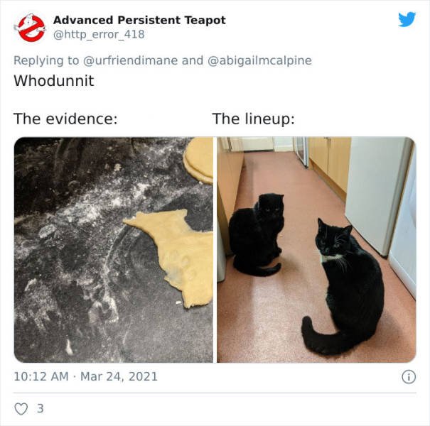 The Crime And The Criminal (17 pics)