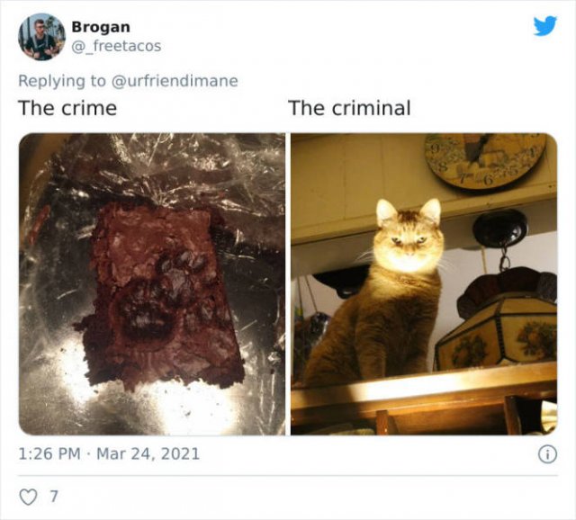 The Crime And The Criminal (17 pics)
