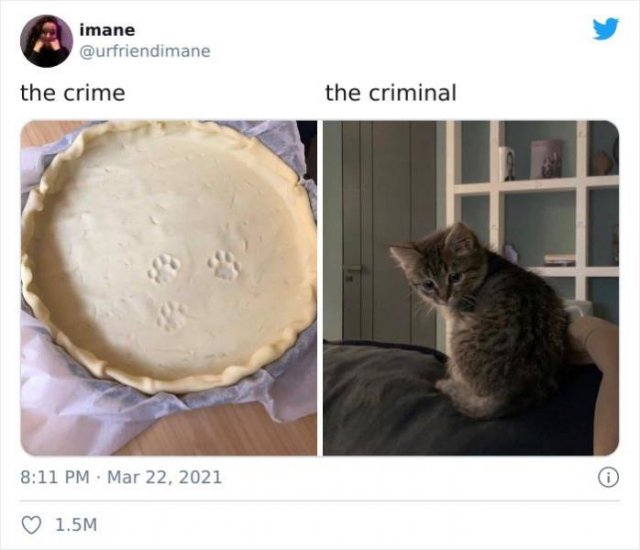 The Crime And The Criminal (17 pics)
