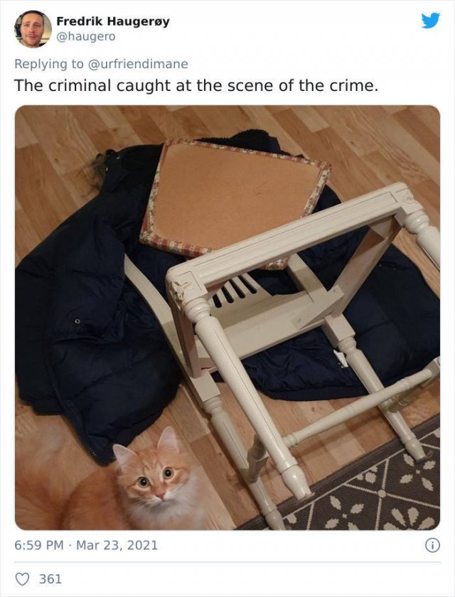 The Crime And The Criminal (17 pics)