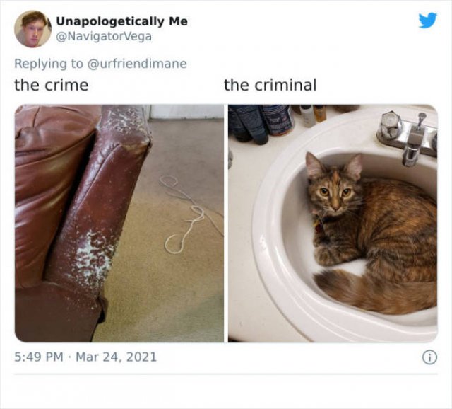 The Crime And The Criminal (17 pics)
