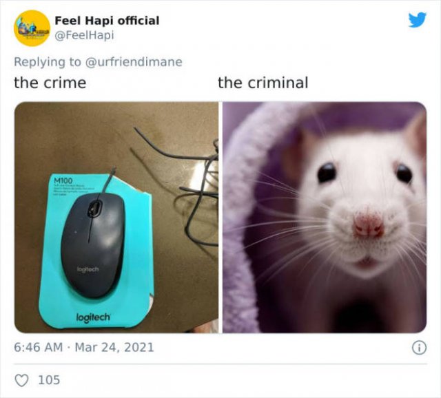 The Crime And The Criminal (17 pics)