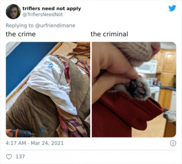 The Crime And The Criminal (17 pics)