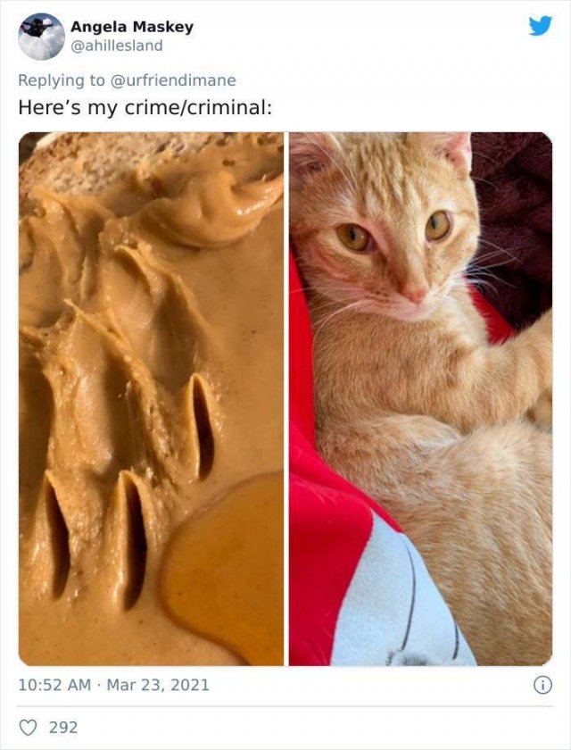 The Crime And The Criminal (17 pics)