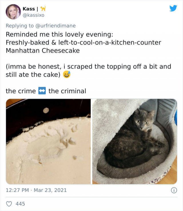 The Crime And The Criminal (17 pics)