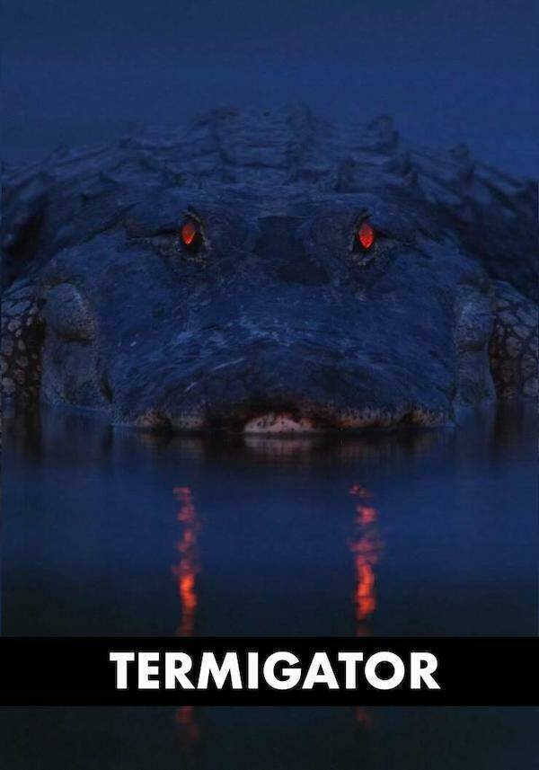 Memes For ''Terminator'' Fans (24 pics)